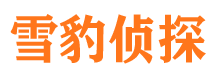 青海市私家侦探